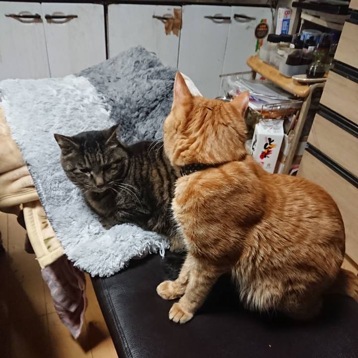 A7443601 30c7 40db bb54 814f2254de03 1644838301392