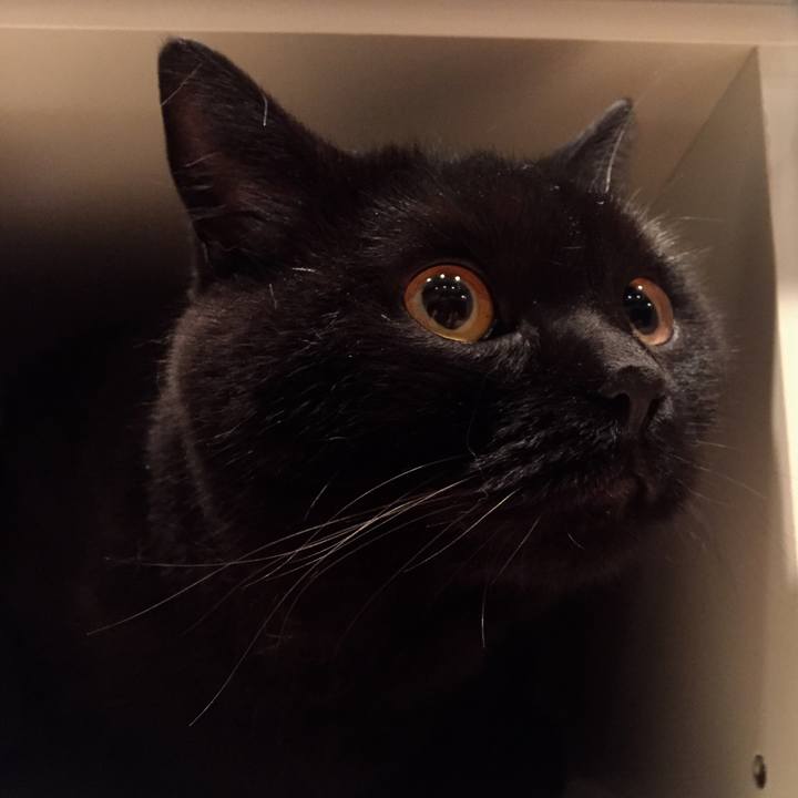 A7446732 260c 4af2 847b ef3b56318ec5 1595322461355