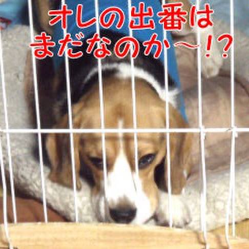 A7447d9c f84a 4971 93cb 88ad046ba4a2 1705709226798