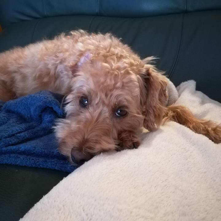 A7448299 39e2 4435 8c2d 1eb6eb47b17d 1560749406283