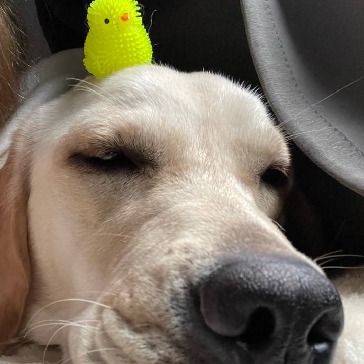 A744c4e3 1c17 49f9 9f96 2b1ccbad2ef9 1638485891057