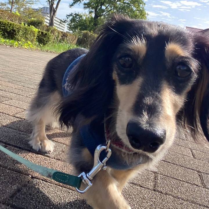 A744f9d8 c5cc 4779 a446 a47cb0d20a05 1760748492060