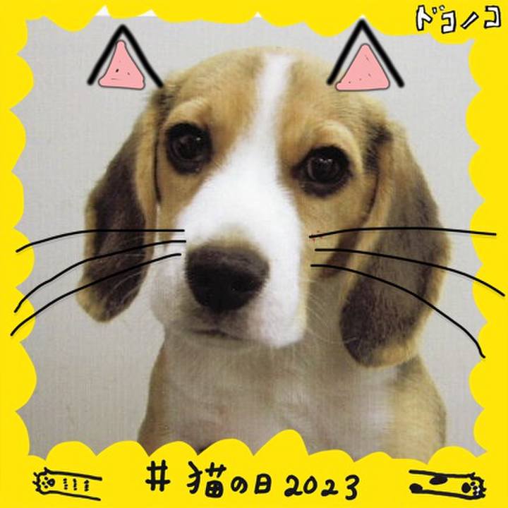 A745136a aa20 4cc2 bcb6 e1a38b659473 1677035661619