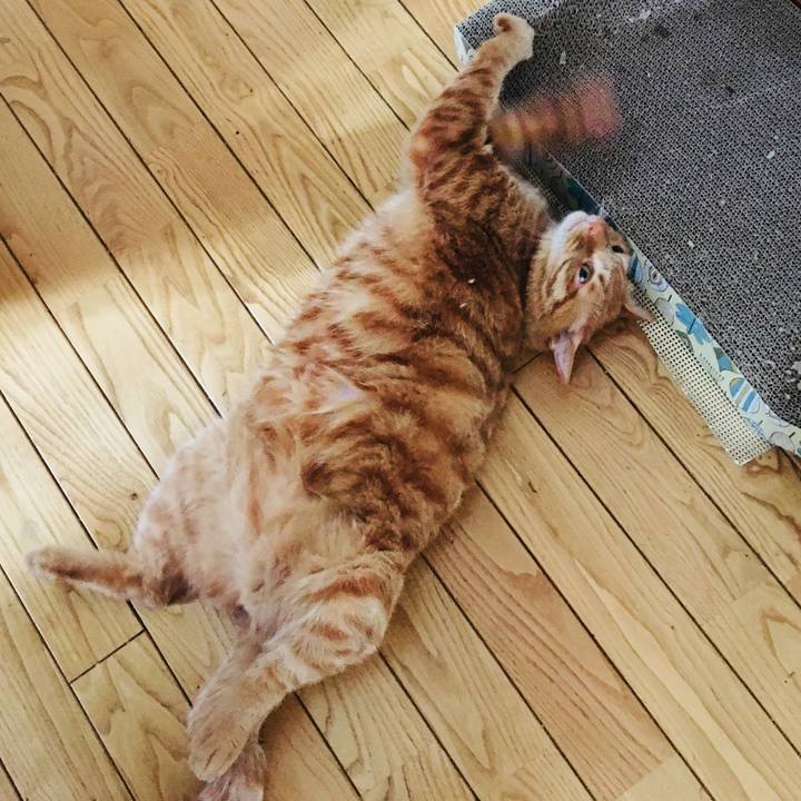 A7452308 9194 4c25 a952 d038576aa2f7 1523189423625