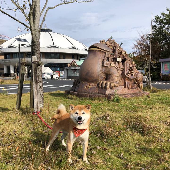 A74524a8 82da 432d 8228 c2f6e9d75eac 1542281189406