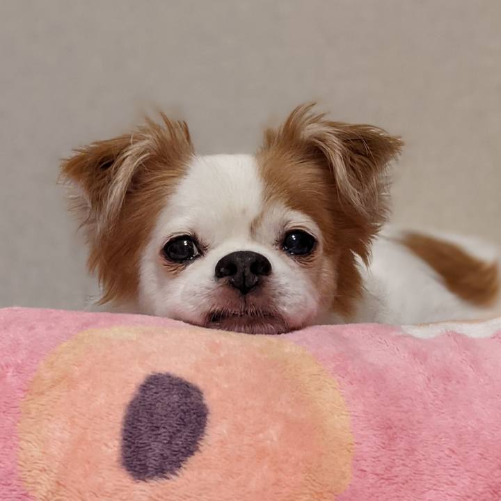 A7455195 4a53 4ce3 a386 99a13fb6e0fc 1627860561696