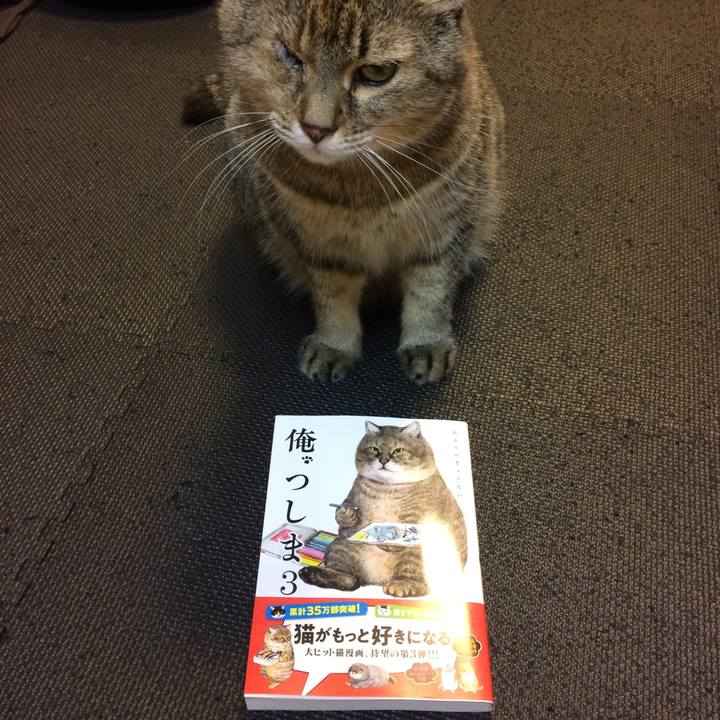 A7458b55 bc1f 42a7 be21 1827eb40150c 1603376852694