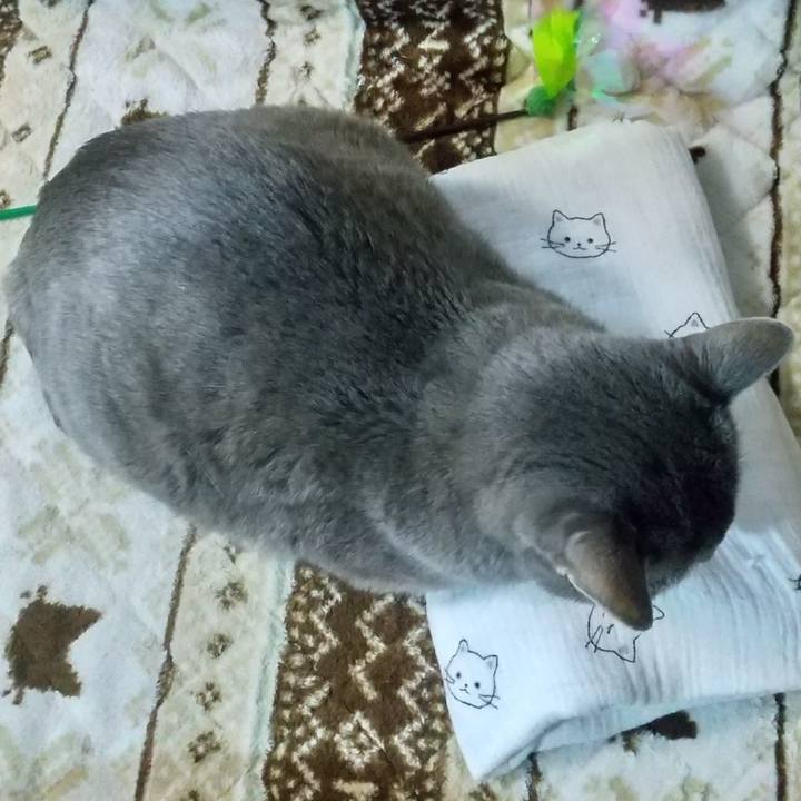 A745ab60 6a19 4714 8d85 ad023b31ae45 1675159446352