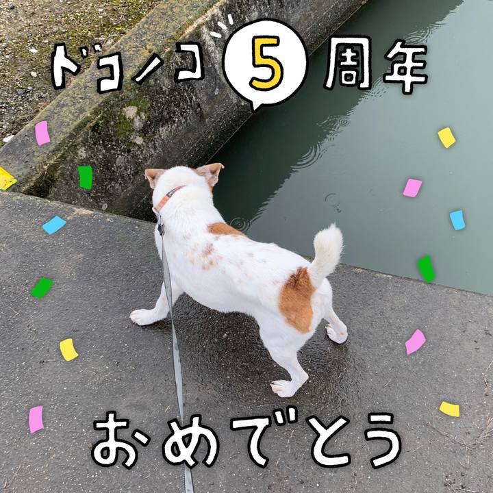 A746149b 93f9 41fc 8171 c23009f9559a 1622938830753