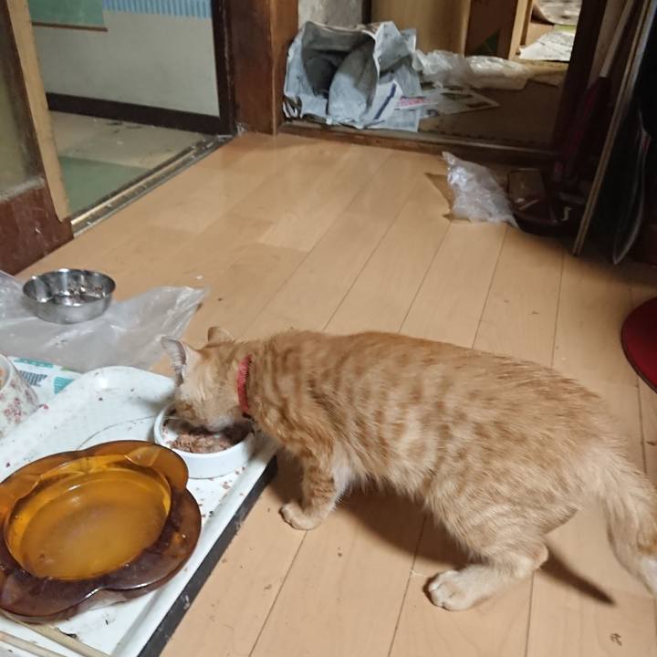 A7464e51 3b90 43fa a7ec 7ae32e1ebe1a 1632820022310