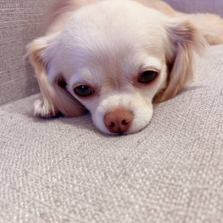 A7467cab e533 4614 9721 31fe8d4ffeaa 1716382261231