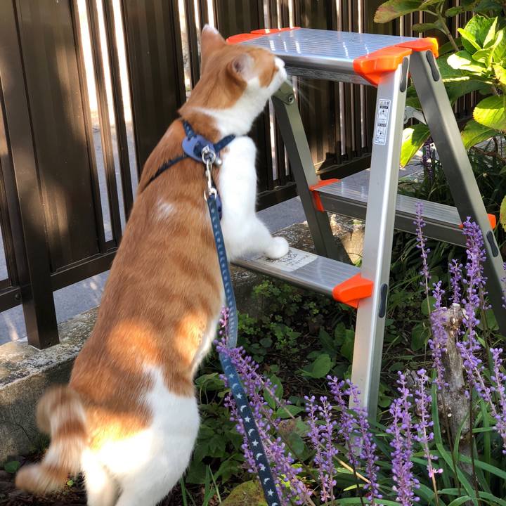 A7467dc2 f074 4a3d a035 d504c7ff867d 1537935103742