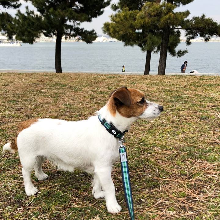 A74688f6 fe0f 4124 8080 6cc275773bf4 1518436411604