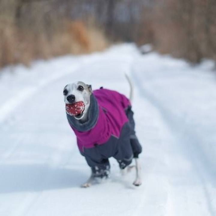 A7469057 7124 48dc 8092 74b6dd9a0d89 1519124143718