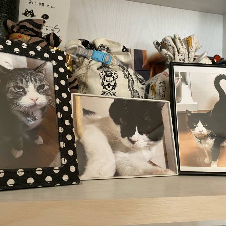 A7469d53 c82e 4d3d b785 87918b6c459f 1613988378267