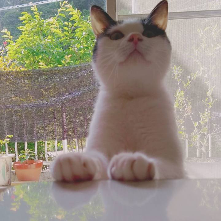 A746ad03 faf7 4209 9d44 033fa6f588b0 1558870881997