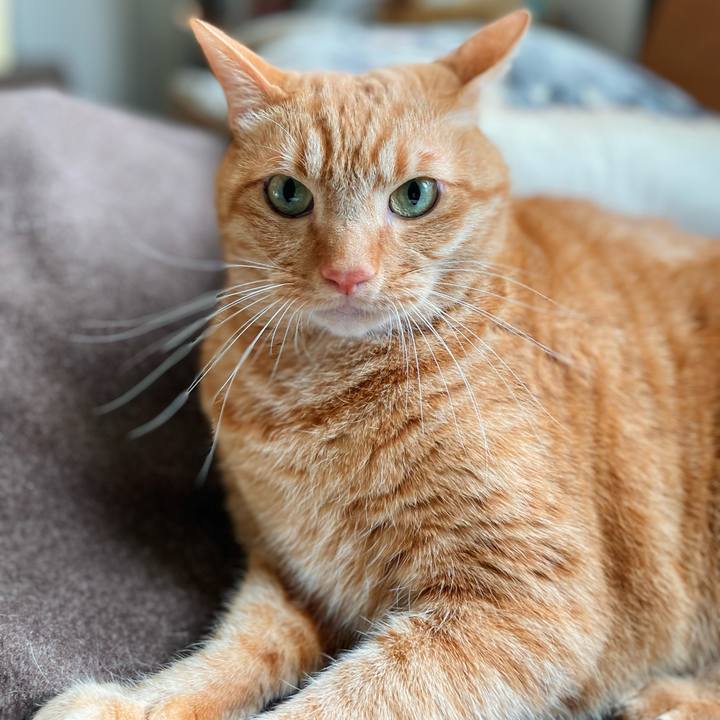 A7473870 fa24 41ca bc6c e06c6270dc5c 1672577067638