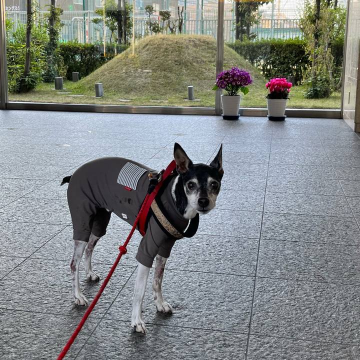 A74764dd 6202 41bb 9f35 40e235e50ec6 1649719016260