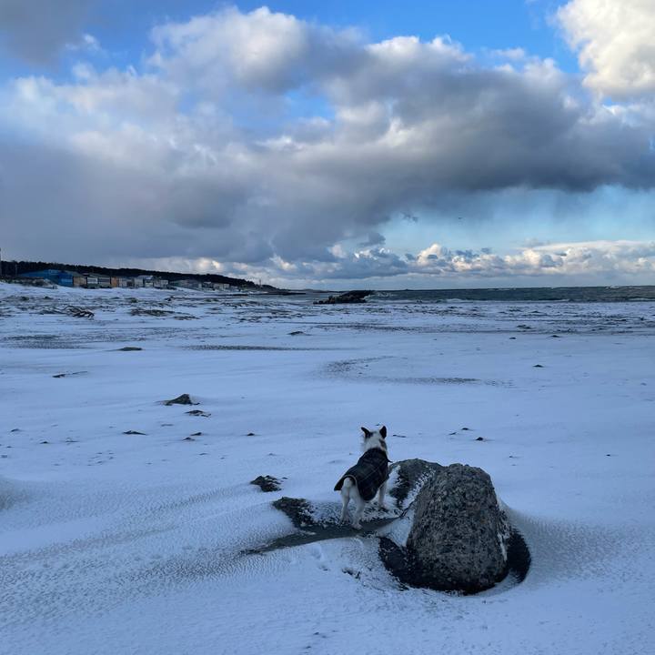 A7476641 7f74 4269 ba66 6ec82410ace1 1739924241854