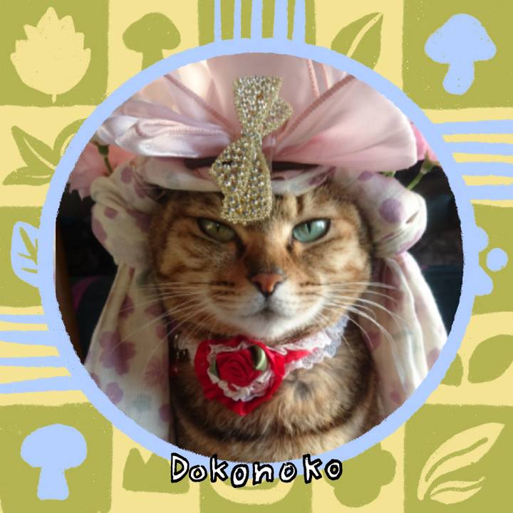 A747e611 c957 49f3 ba39 27b5ee8f7ba0 1763595110013