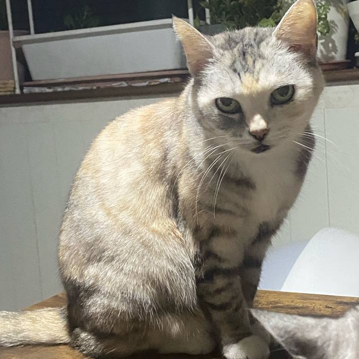 A7480023 d3ad 4513 ad1e da0af3dc4b09 1769289193974