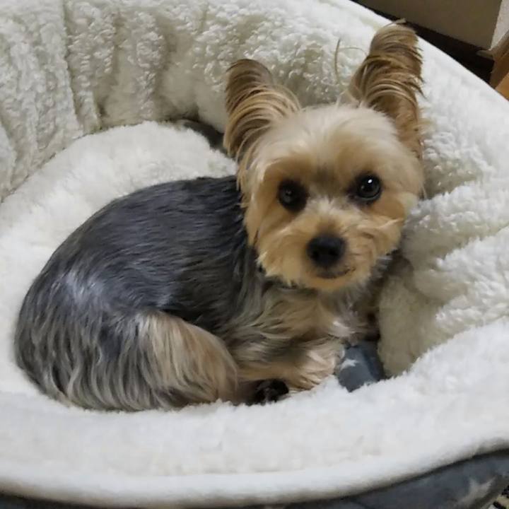 A74819ab 2ddc 4cf8 934b deb520e4f669 1636093283303