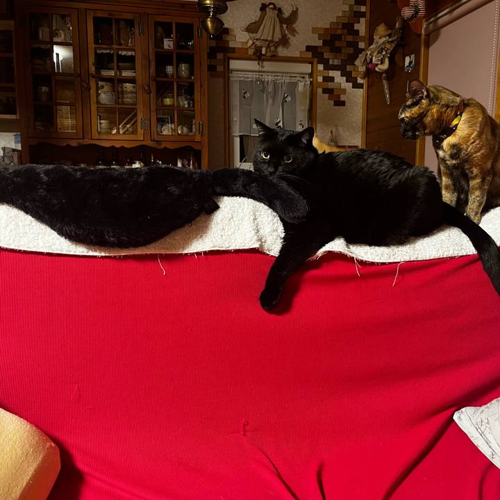 A7481b17 0d2d 451b 965a 1fd82fa2a800 1734965698303