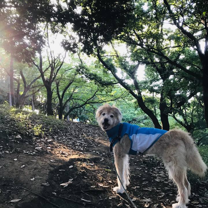 A7485aee 6116 4bae a126 090eb3d2bb53 1565131674750