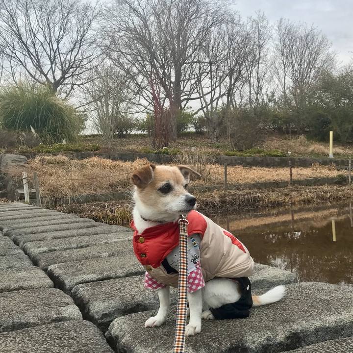 A7487cc4 f604 4cea 8feb 44ae0ae9a924 1645251906012