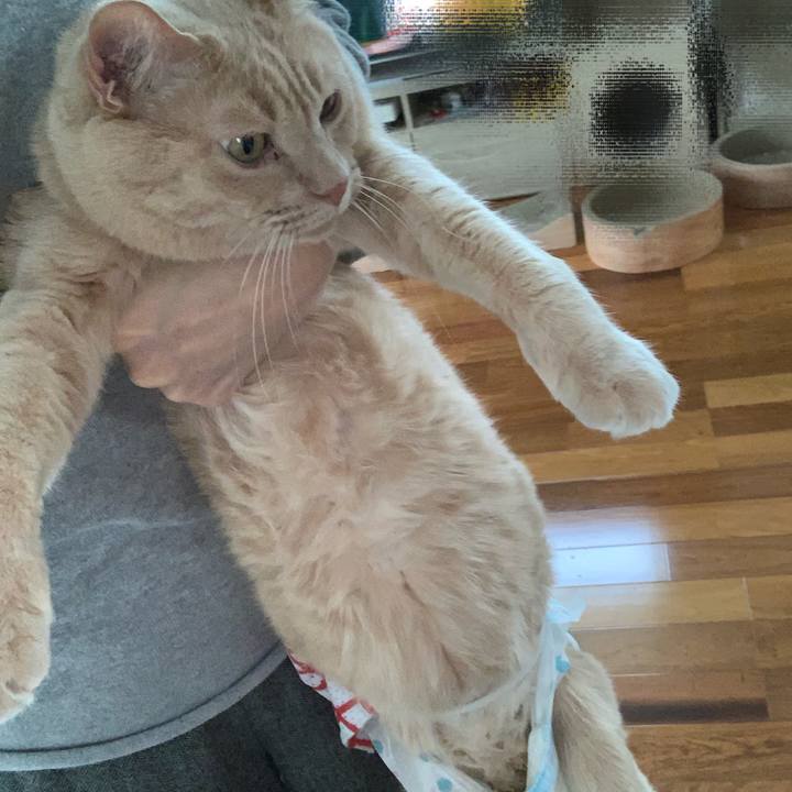 A748a348 2c8c 4d3c 93a3 835a2021ecfd 1582875785135