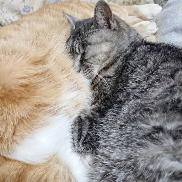 A748a814 d97d 49c3 be94 b0a827acd90b 1575722260729