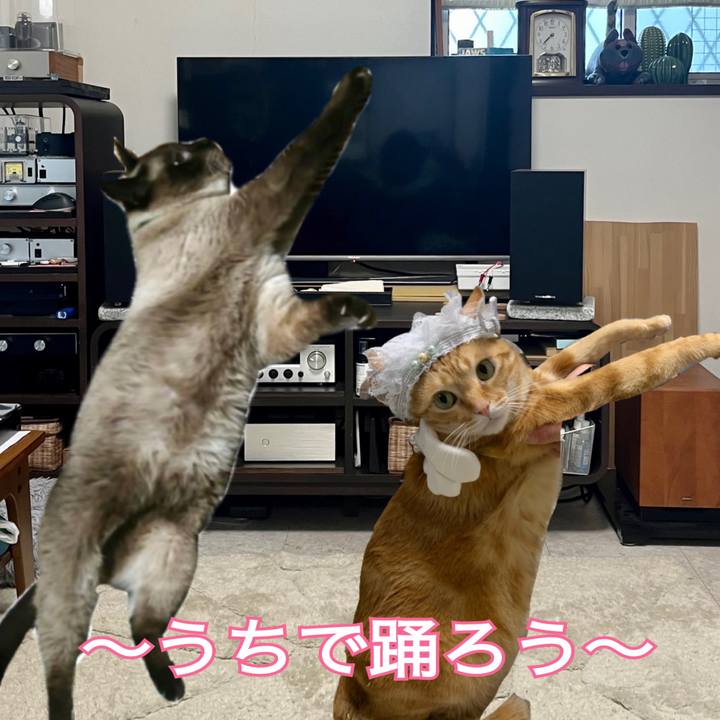 A748d7de edeb 4723 9aa4 1a31c9556ac2 1644360706352