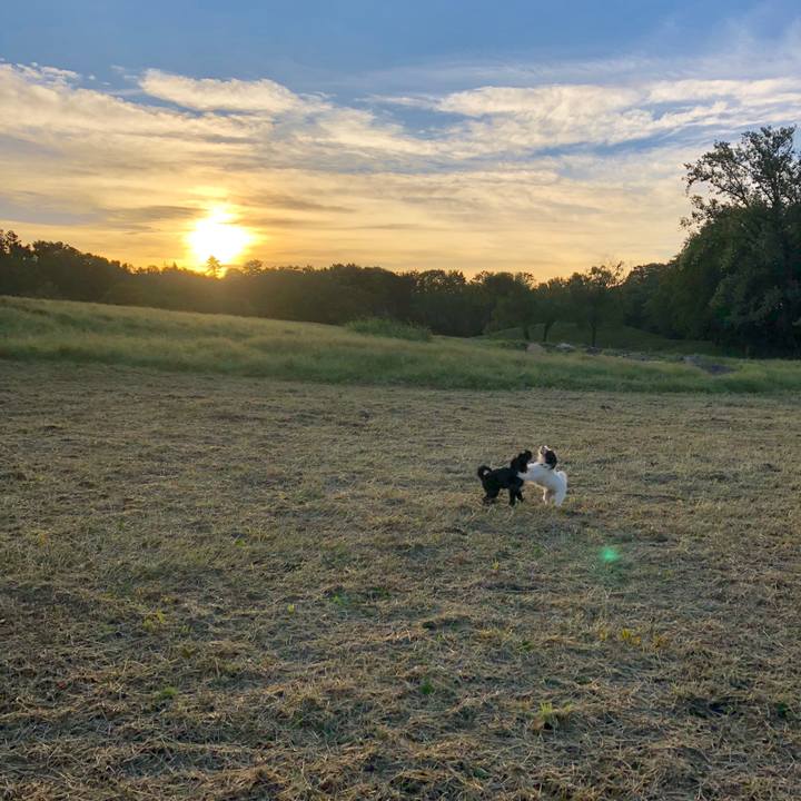 A748edcc 48ad 42da b901 d1f2af19baa9 1538343283928