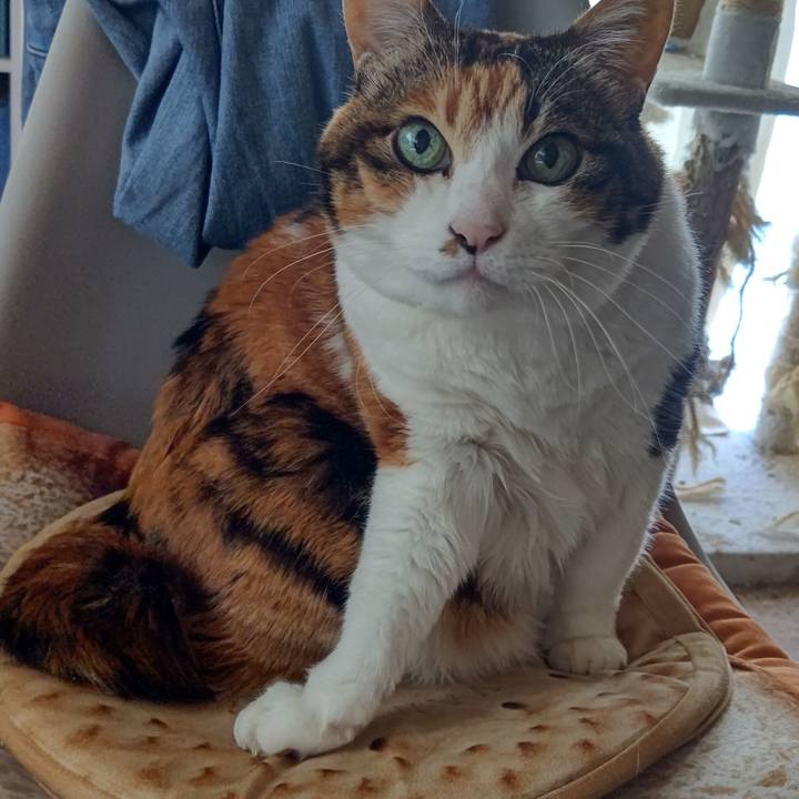 A74902d5 69b7 435a 971d 36e2f2db82db 1644973929713