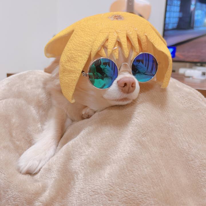 A74924b7 9c8d 47e3 b5e9 047144b15733 1674043284970