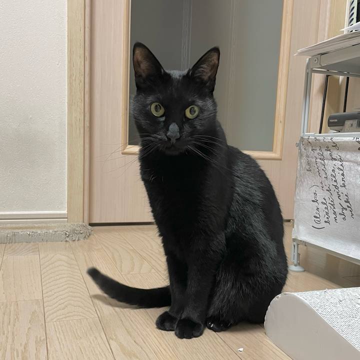 A7494e65 887a 4e2f aeeb eec5fc6019ea 1646223718170