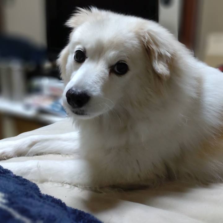 A74979f9 026c 4244 b67e fa308722183d 1648157729360