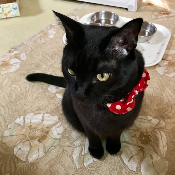 A74981f4 ee60 4a4a b4b6 2d768d547c15 1550040202845