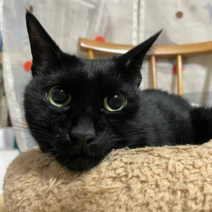 A74987d6 907b 4707 9779 68a963780c3b 1743078797955