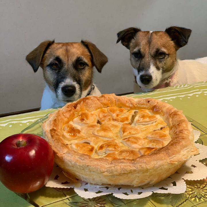 A749bc4c 00c0 4e1d 8df9 6002cf55d5fb 1572867089975