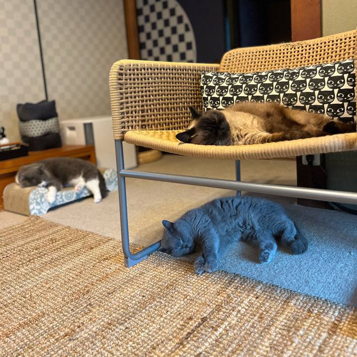 A749c616 3f1e 4e86 9e9f 58a7559d38cd 1721009826990