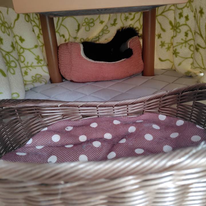 A749cbf5 34fc 4bbc b74a ffb18b949442 1750297048472