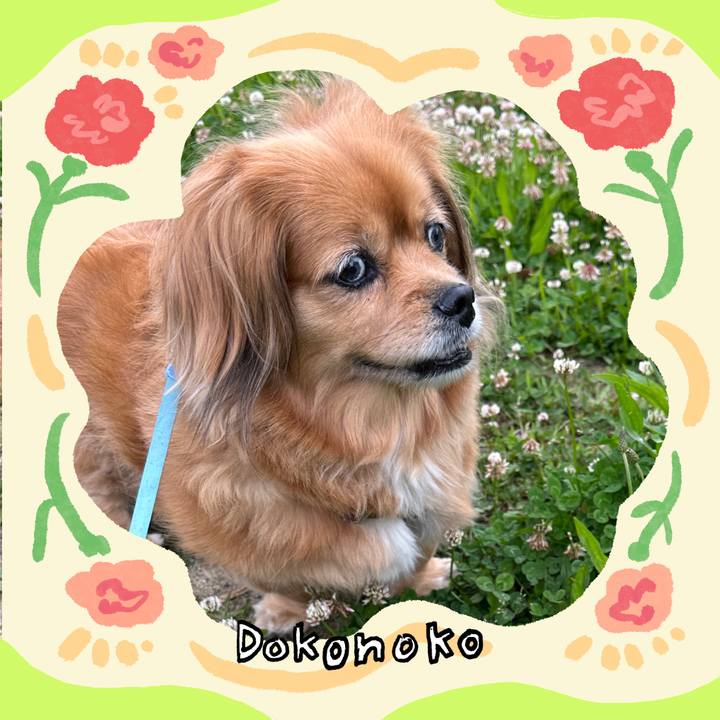 A749e35d f406 42b5 845b 0f42fddd16b4 1714953976684