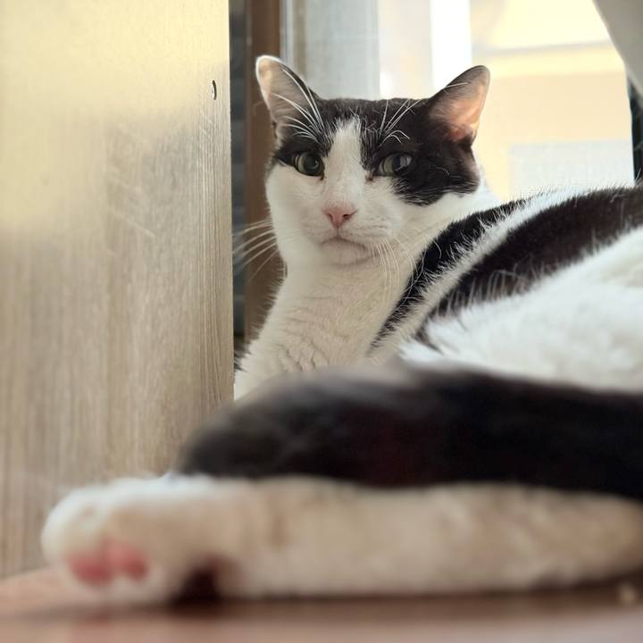 A749e493 8ad9 4dbf 89c8 b44ae447de1e 1755667391450