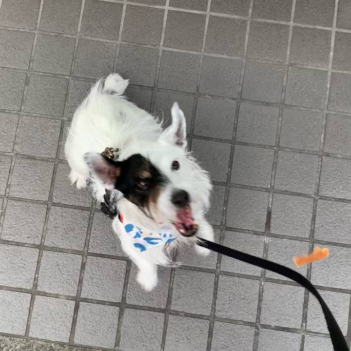 A749f688 bbd1 4062 977f 284357888e3a 1688804027010