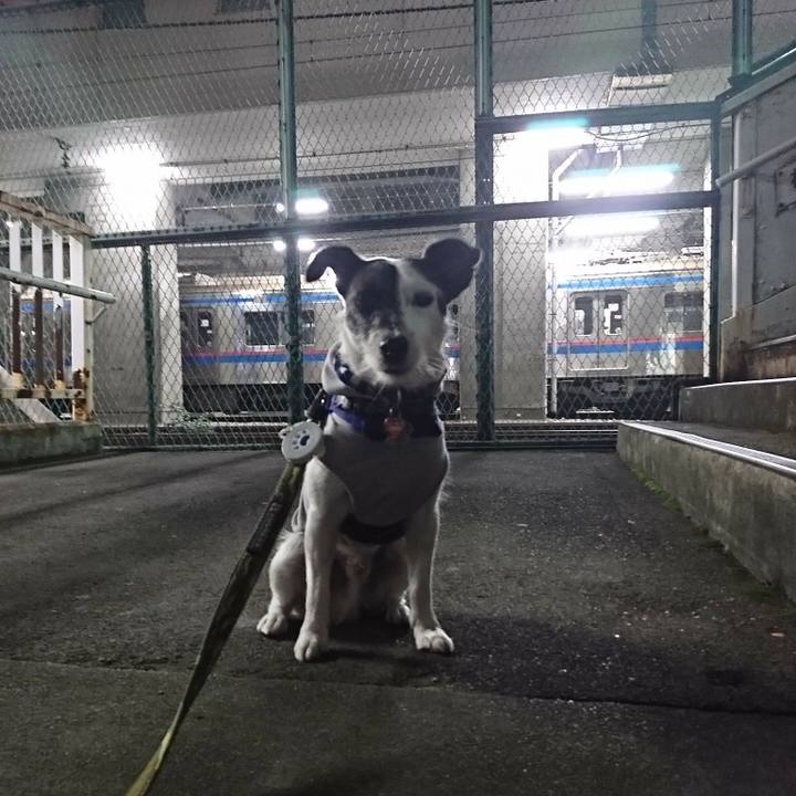 A749feb4 df8e 4991 8274 fb36ee838aaa 1507721730098