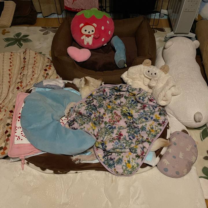 A74a0af0 f18e 4277 a0d8 1c5b81a415a4 1678111668008