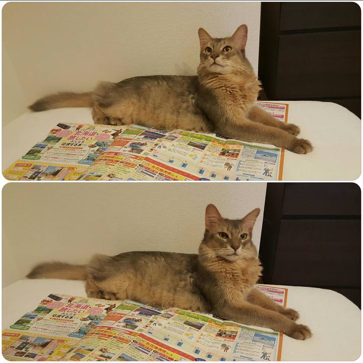 A74a73d2 e4cb 4527 8e67 04841288e585 1535457251627