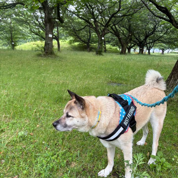 A74a7e59 61ca 41a9 93f7 6f97bad44df6 1749382667329