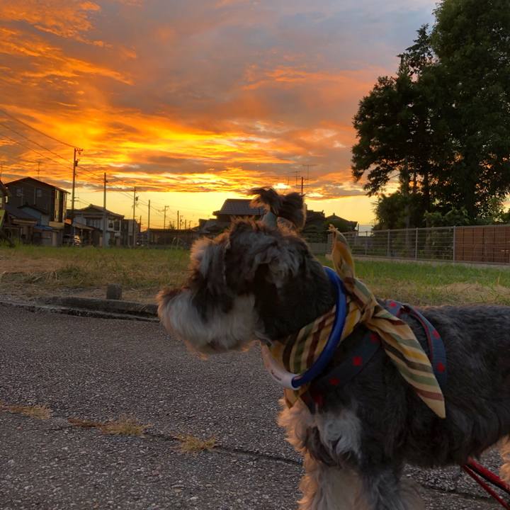 A74a8f5e 5323 49bc abfe bdbb975337d6 1659274539623